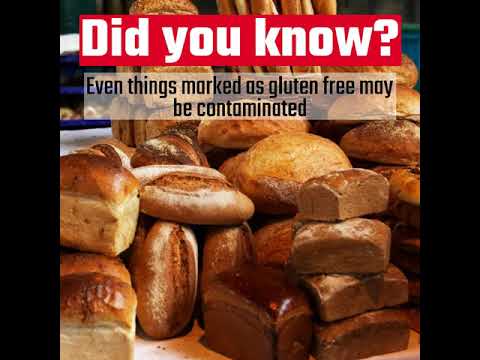 Why You Need a Gluten-Detection Dog