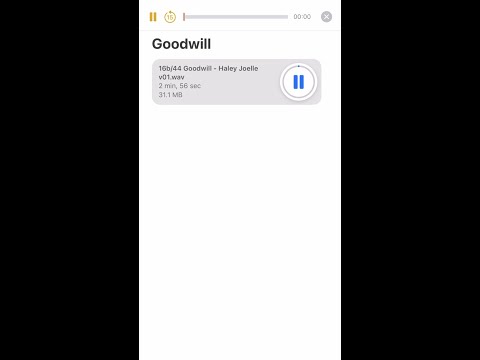 Goodwill - Haley Joelle