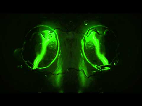 download lagu mp3 mp4 Clip Art Video Free Download, download mp3 Clip Art Video Free Download free download, download mp3 Clip Art Video Free Download