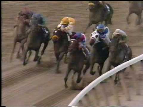 1995 Breeders Cup Classic - Cigar