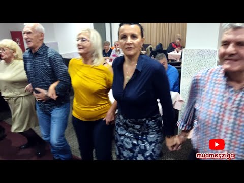 Kolo za kraljicu Fatu garu~"PREMIJER BEND"