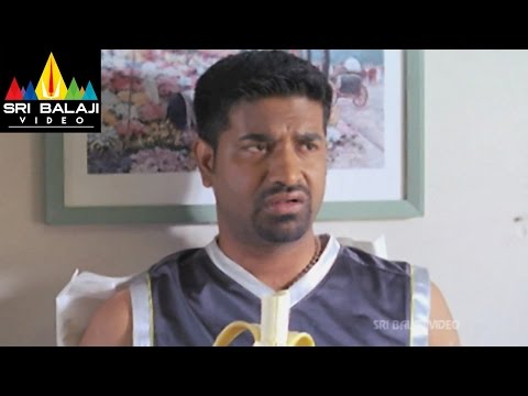 Vennela Movie Raja and Vennela Kishore Playing Cricket | Raja, Parvati Melton | Sri Balaji Video