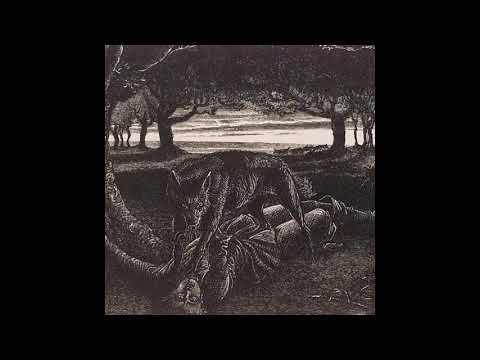 Dwaallicht - Sandsifted