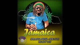 SPRAGGA BENZ - SHE NUH READY YET (Filthy Riddim 1997)