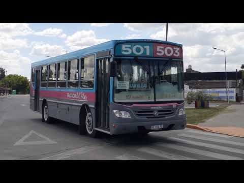 Colectivos en Pilar, Bs. As. 2020