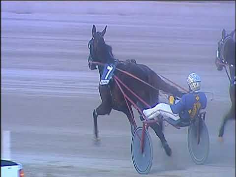 Trotto 31/12/2019 - 7ª corsa