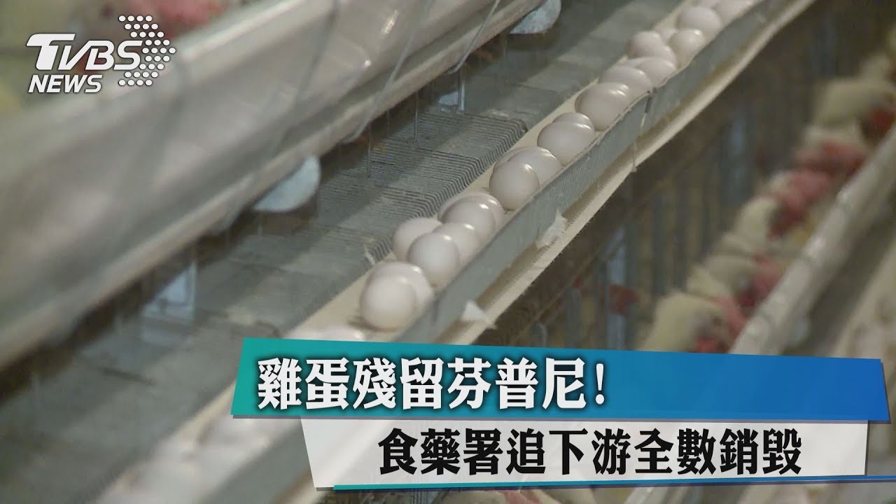 雞蛋殘留芬普尼! 食藥署追下游全數銷毀