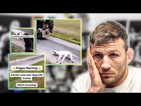 Landwirt überfährt Hund!