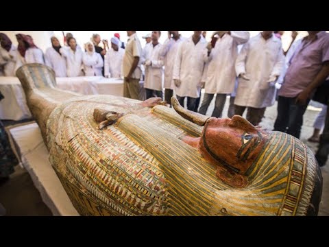 Was This Ancient Egyptian Site The World's First Zoo || Umair Rabbani || #umairrabbani #subscribe