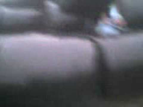 Trecwn madness made betta