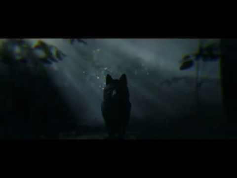 Red Dead Redemption 2 - Arthur's Coyote Vision