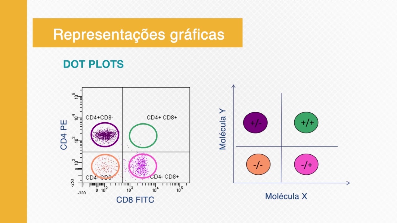 Introdução à citometria de fluxo
