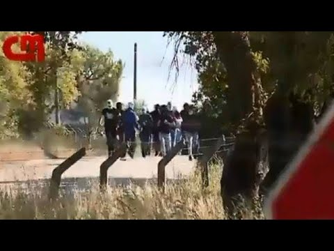 Torcedores do Sporting invadem CT e agridem jogadores e comissão técnica