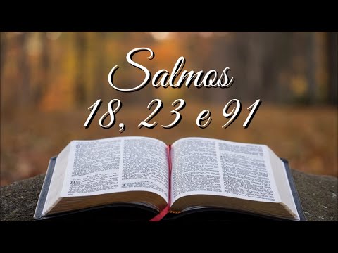 BÍBLIA SALMOS 18, 23 E 91