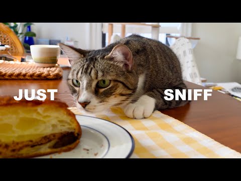 Just sniff, I promise