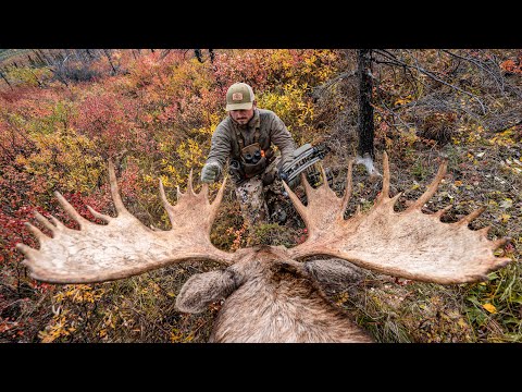 ALASKAN MOOSE WITH THE BOW (My Dream Hunt)