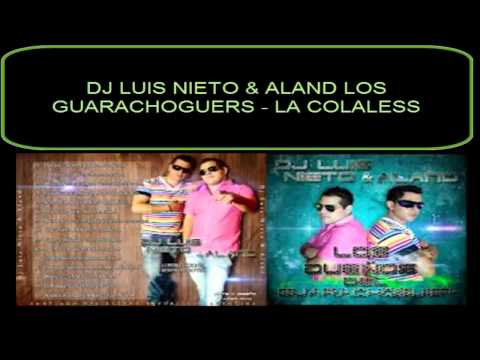 DJ LUIS NIETO Y ALAND LOS GUARACHOGUERS   LA COLALESS
