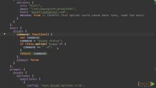 Introducing Grunt: The JavaScript Task Runner : Run a Basic CLI Command | packtpub.com