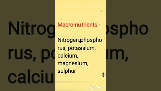 Exploring Essential Nutrients: A Guide to Macronutrients and Micronutrients #ytshorts #study #short