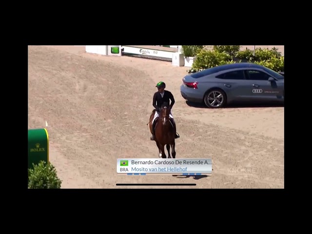 Father of this frozen embryo is the CSI 1.60m jumping stallion Mosito van het hellehof with rider Bernardo Alves.