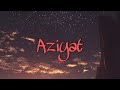 Aziyat Pratyush Dhiman Slowed Reverb HD Status Video Pexel Creations