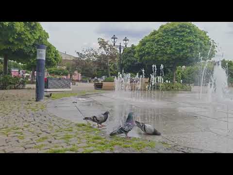 YouTube Preview Image