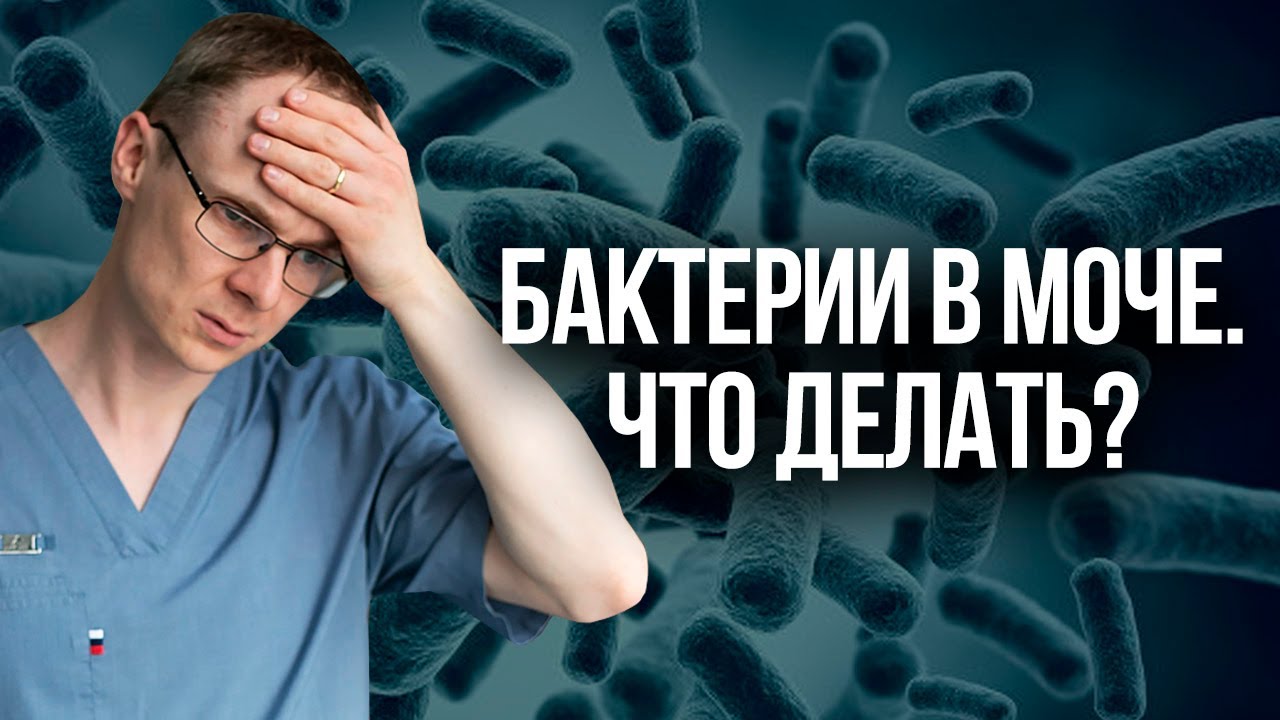 Бактерии в моче. Что делать Врач уролог-андролог. Москва.