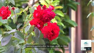 Strawberry Fields Tribute