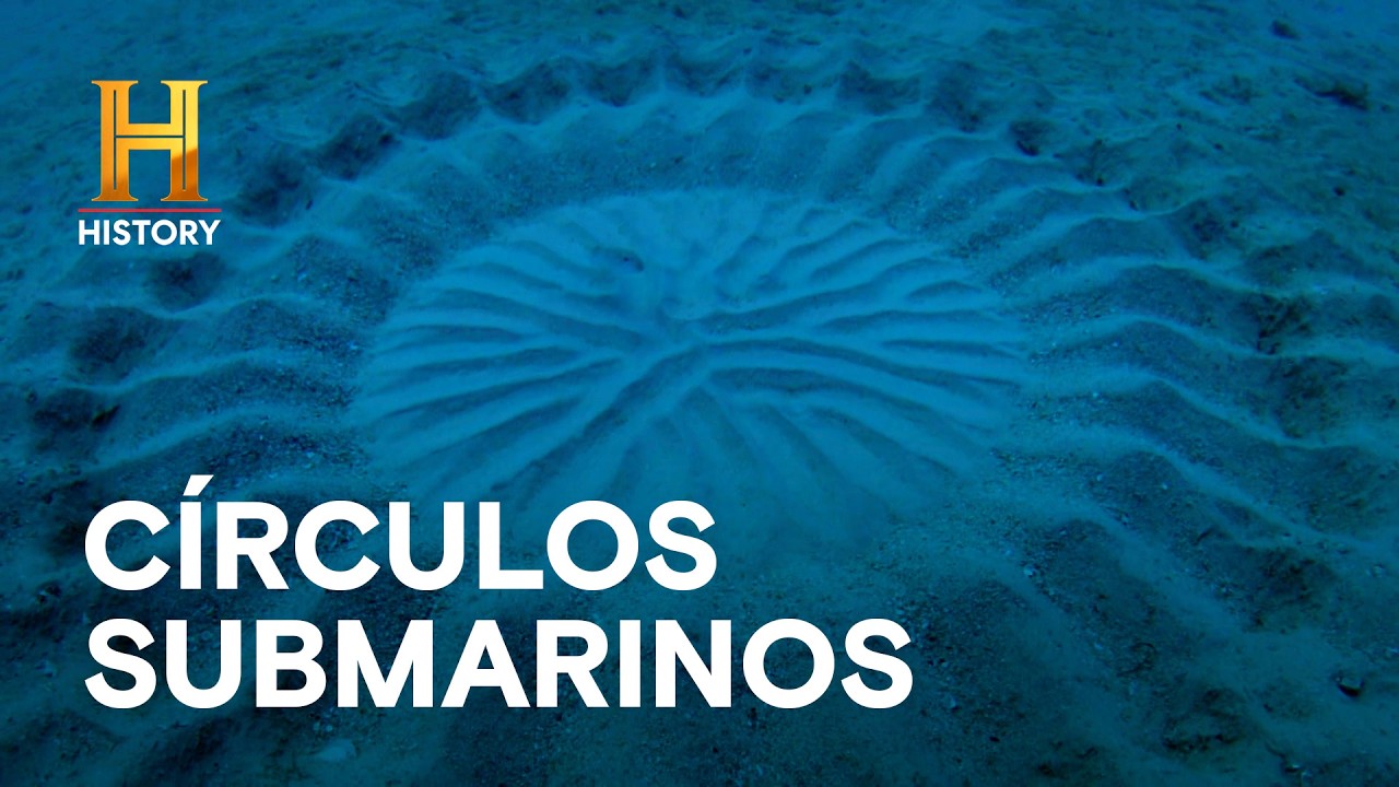 MENSAJES EN EL FONDO DEL MAR: ¿Quién dibujó estos círculos perfectos? 🌊 - CAZADORES DE TESOROS