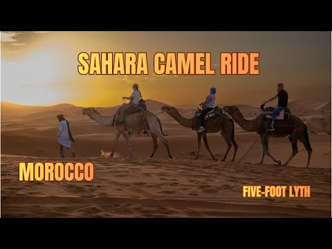 Camel Ride in the Sahara | Morocco Desert Adventure