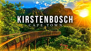 Exploring the Hidden Treasures of Cape Town’s Botanical Gardens: 1 Hour of Deep Relaxation Music