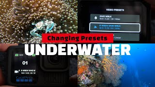 Switch GoPro presets underwater with just two buttons