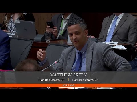 Alexandre Trudeau says 'We're wasting our time on the notion of interference'