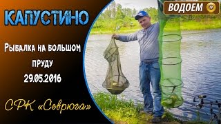 Рыбалка в чеховском районе капустино