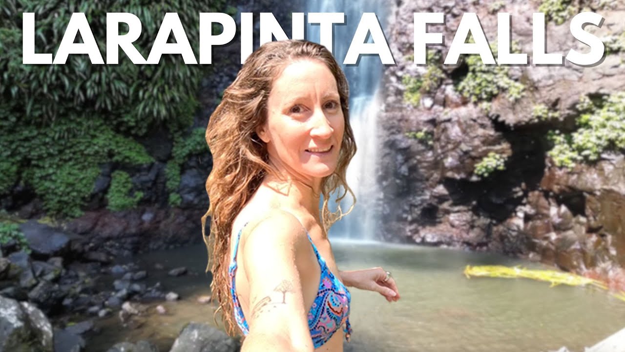 Join an adventurer on a trek to Larapinta Falls.