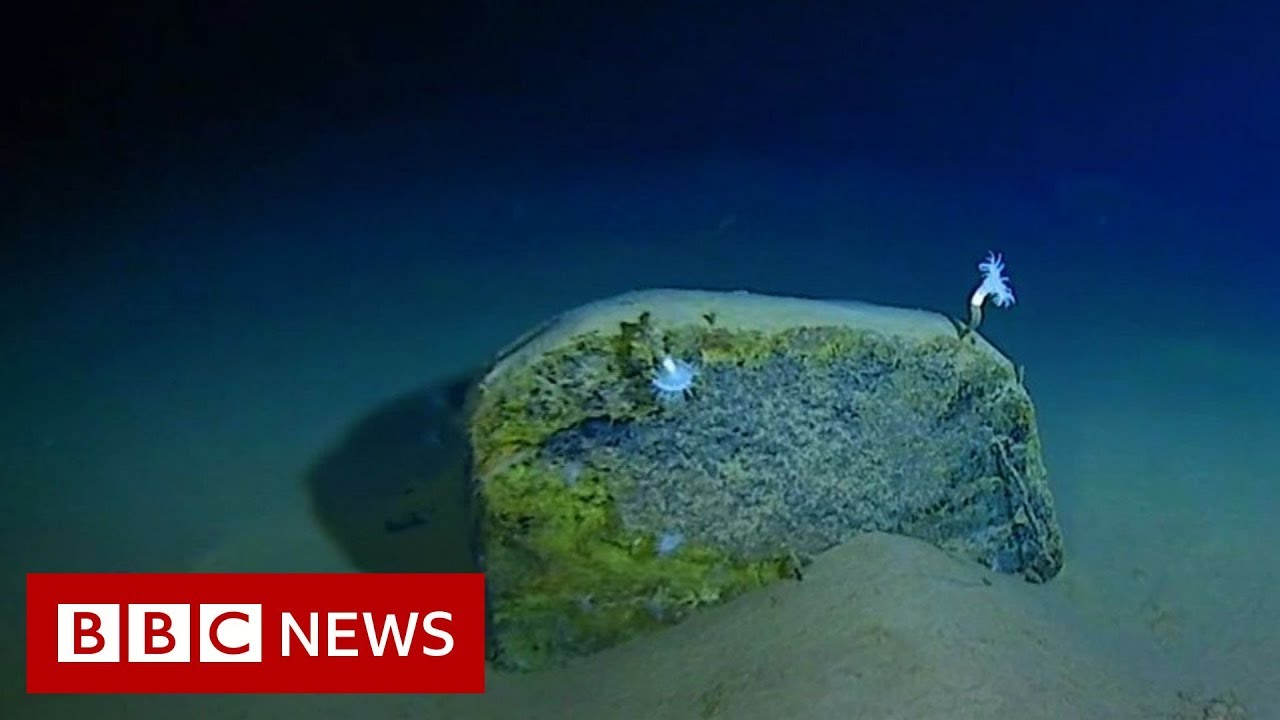 Mariana Trench: Record-breaking journey to the bottom of the ocean - BBC News thumnail