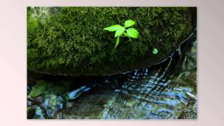 The River of Suffering