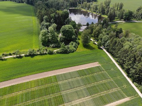 Pflanzenbau Aktuell - Feldtag 2021 auf dem Ökologischen Versuchsfeldstandort Ochsenhausen