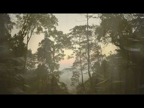 Jakare & Mixwell - Instinto