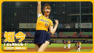 一心兄弟📣 短今（Sammie）Passion Sisters 中信兄弟啦啦隊  cheerleader 치어리더 臺中洲際棒球場 2024/8/23【台湾チアTV】