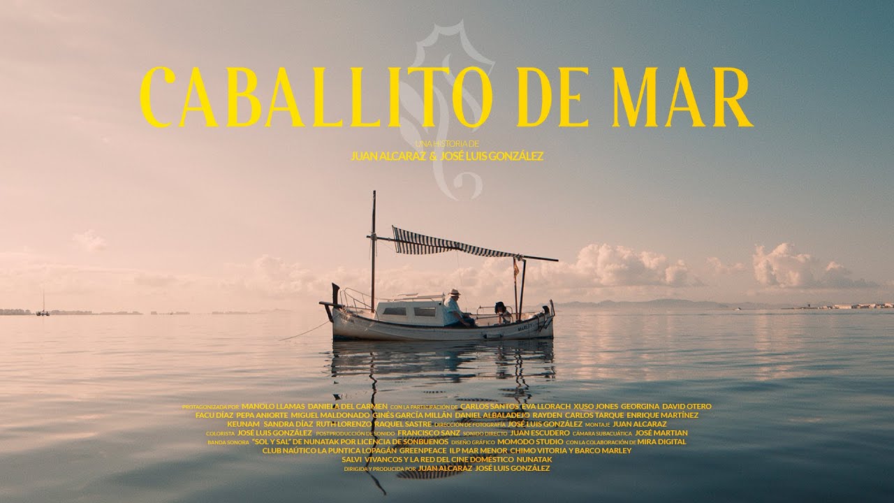 CABALLITO DE MAR – Por un Mar Menor vivo