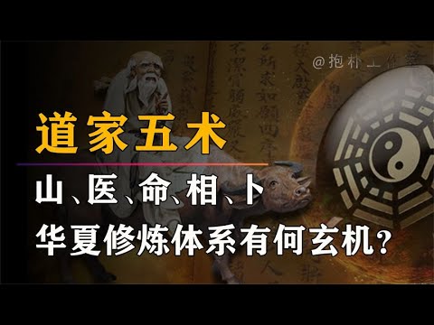 山醫命卜相