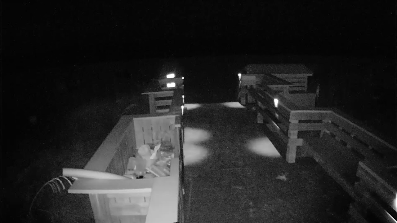 Live webcam view of Gulf Gate Beach Boardwalk View
