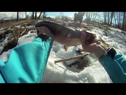 Kalastusta Merikarvianjoella - Kirjolohen kalastus - SpinTube- Eumer