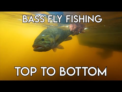 Smallmouth Bass Fly Fishing Techniques | Top to Bottom
