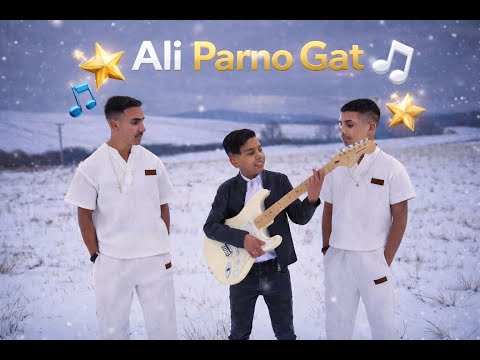 Ali ⚜️ Midajko - Parno Gad ( OFFICIALvideo ) COVER
