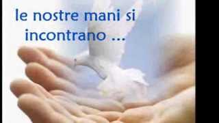 Le nostre mani