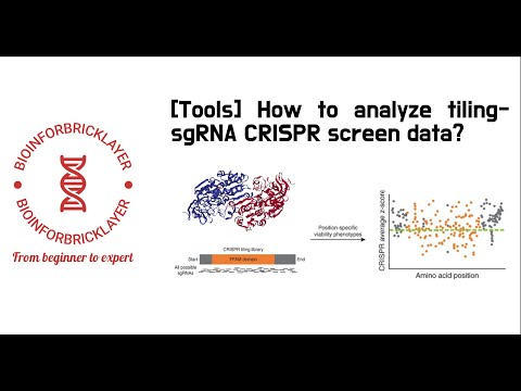 【Bioinformatics | Tools 05】 How to analyze tiling-sgRNA CRISPR screen data?
