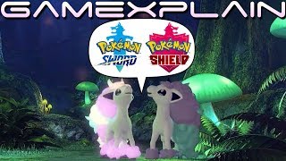 Galarian Ponyta is Adorable...But Was it Worth a 24 Hour Pokémon Stream? DISCUSSION (Sword & Shield)