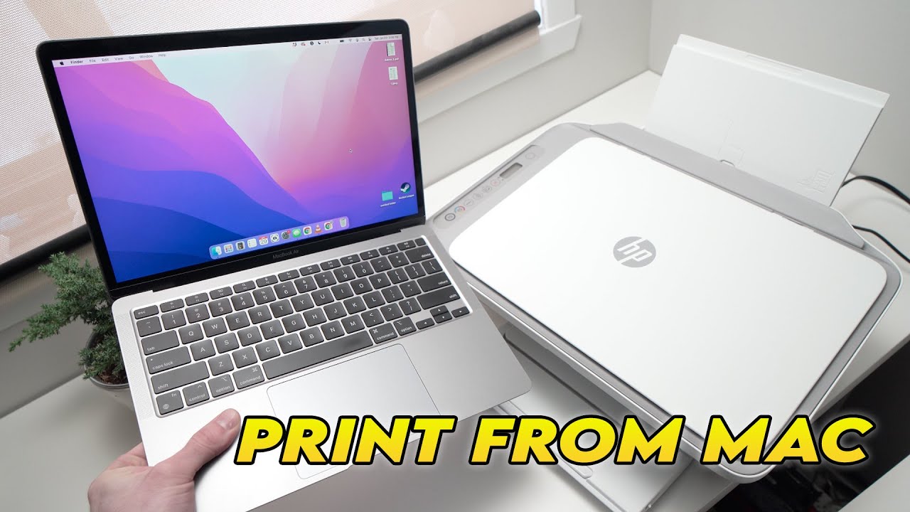 How do I find the HP printer on my Mac?